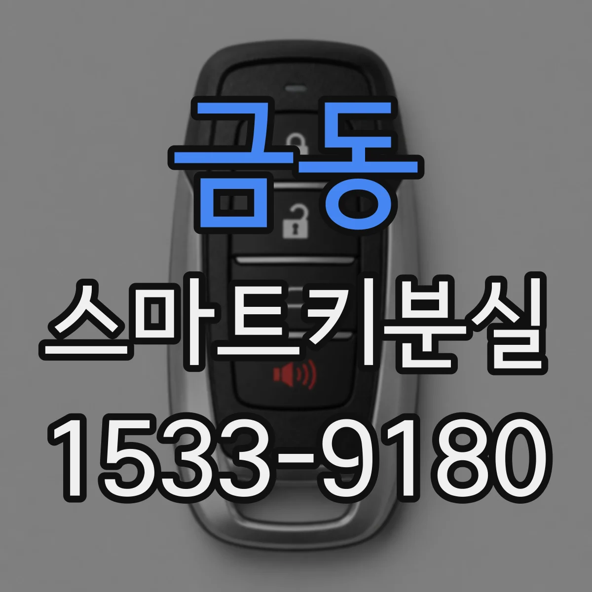 금동 스마트키분실