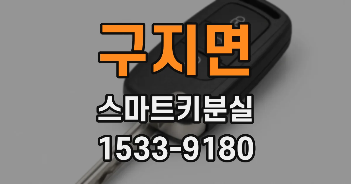 구지면 스마트키분실