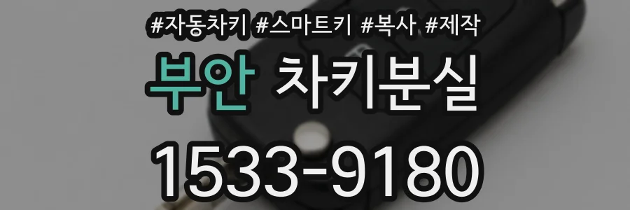 부안 차키분실