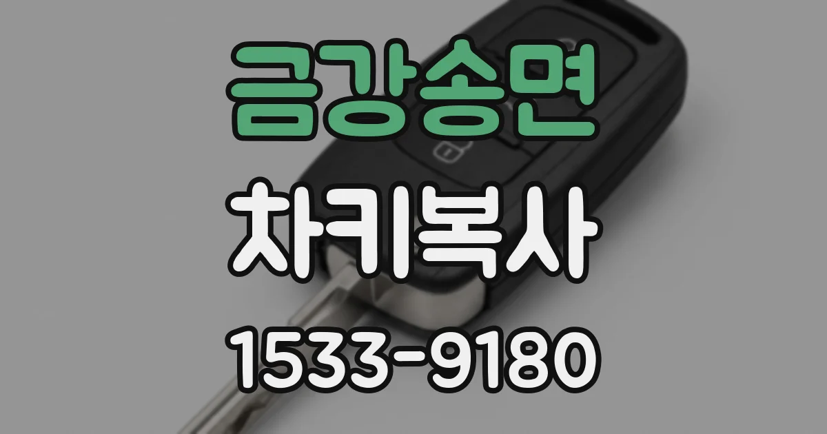 금강송면 차키복사