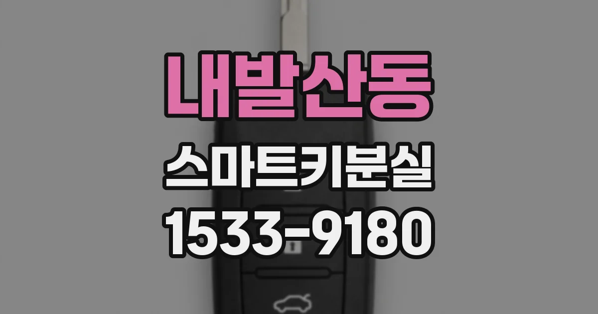 내발산동 스마트키분실