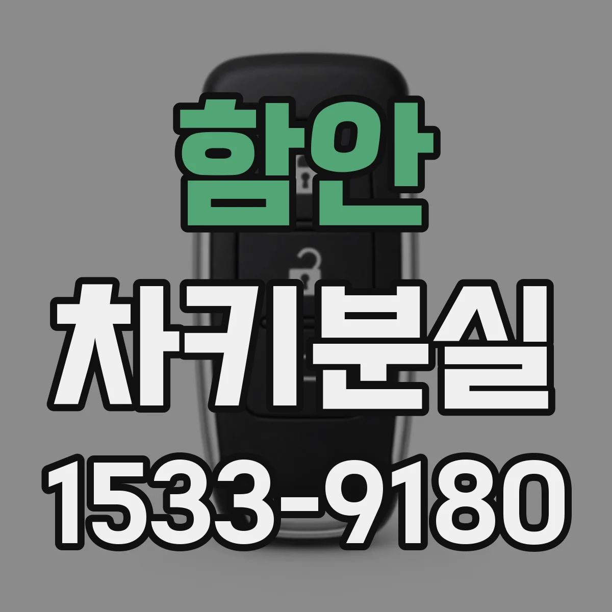 함안 차키분실