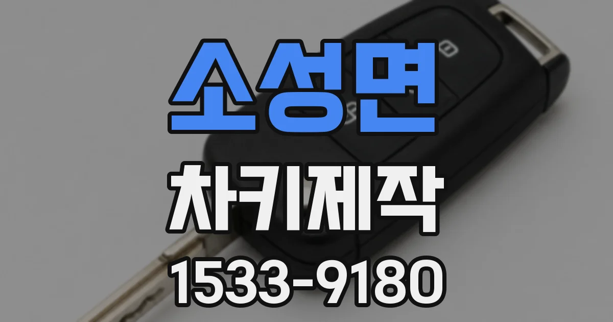 소성면 차키제작