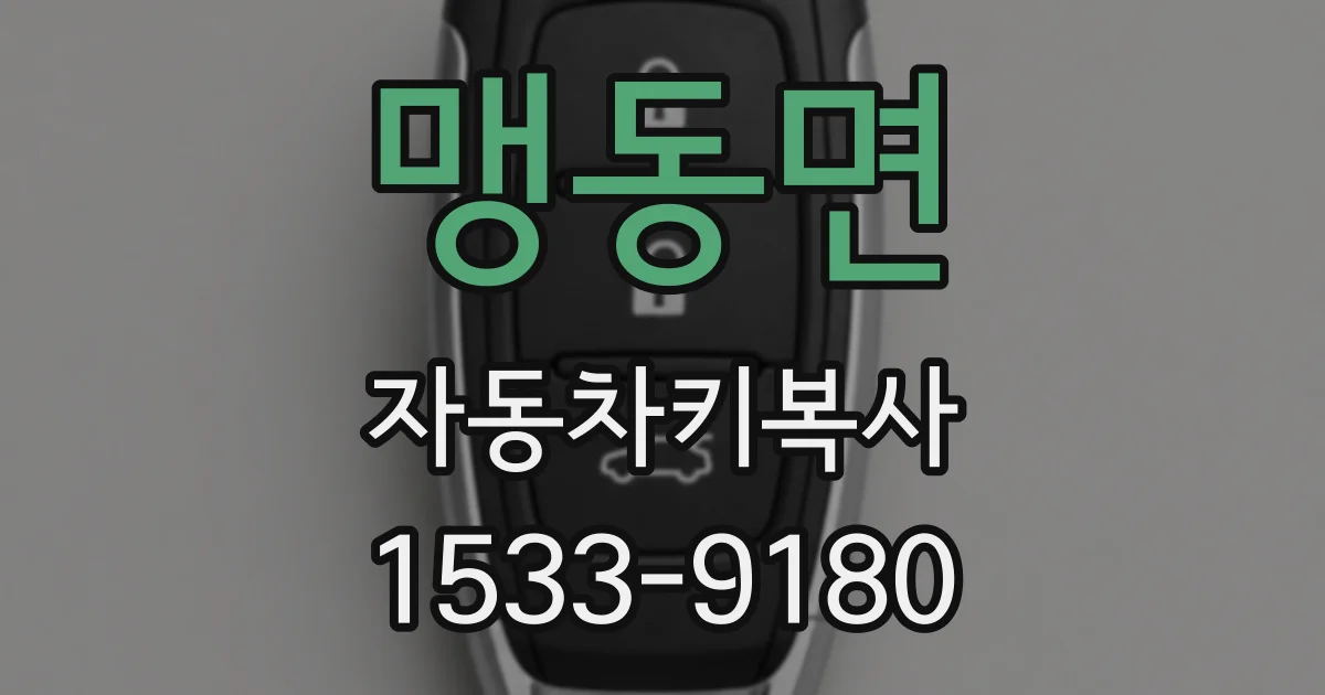맹동면 자동차키복사