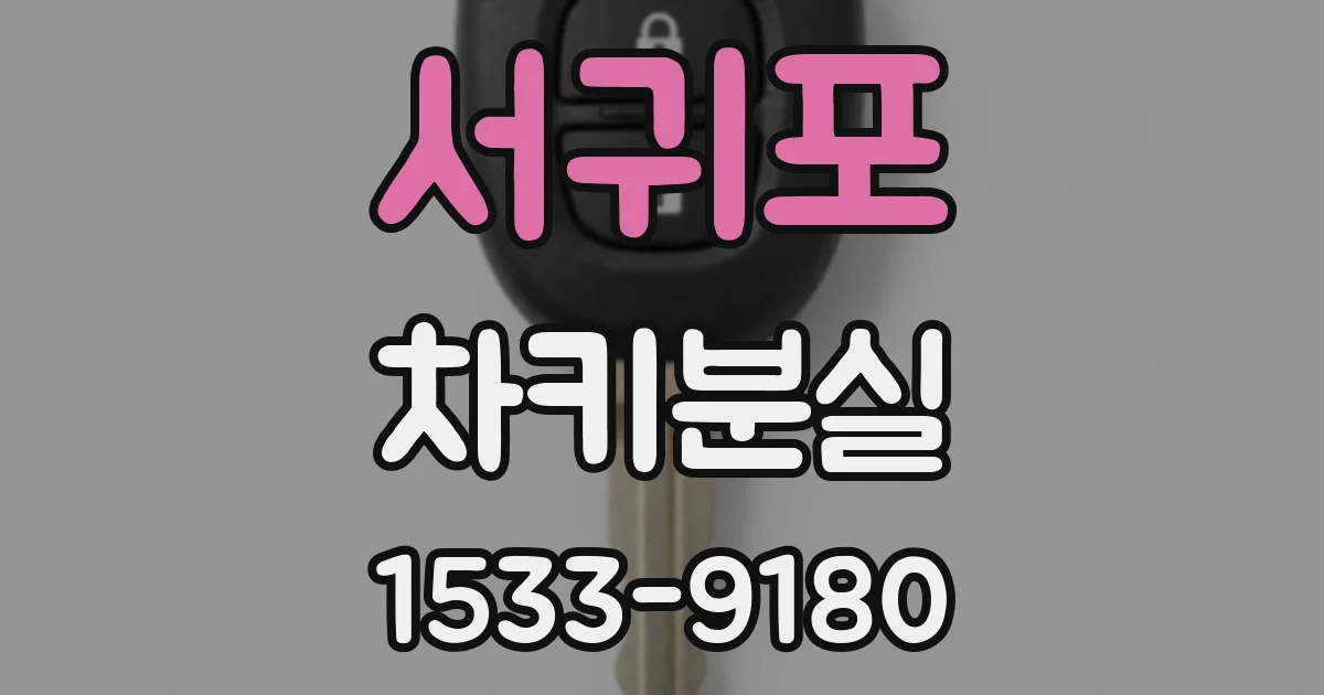 서귀포 차키분실