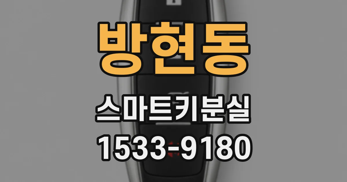 방현동 스마트키분실