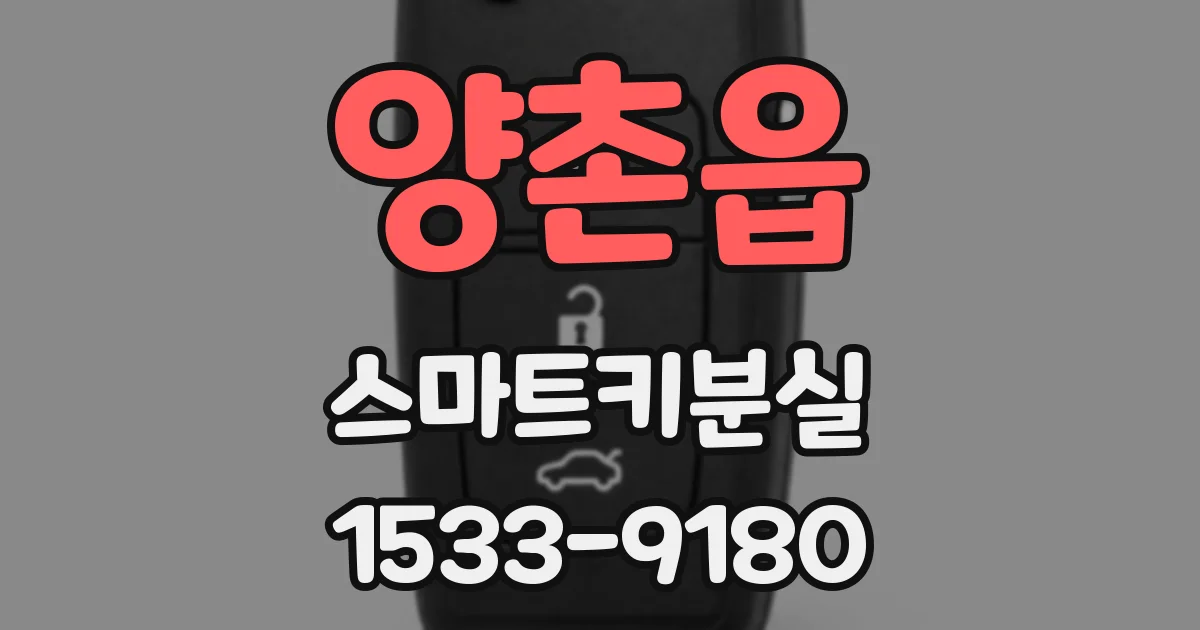 양촌읍 스마트키분실