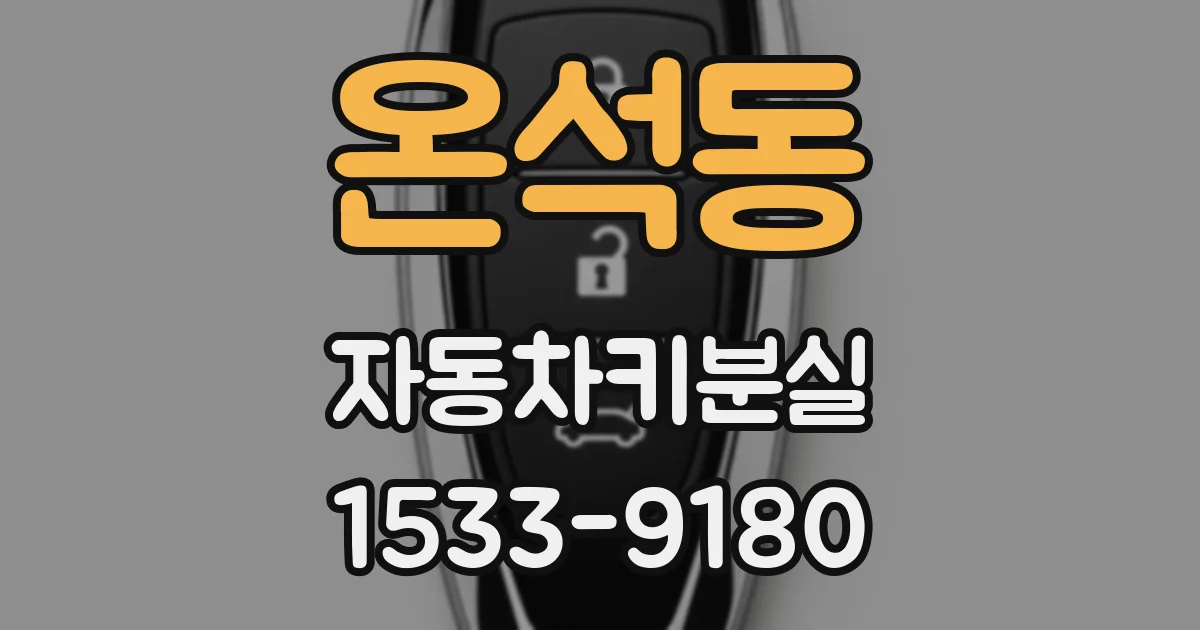 온석동 자동차키분실
