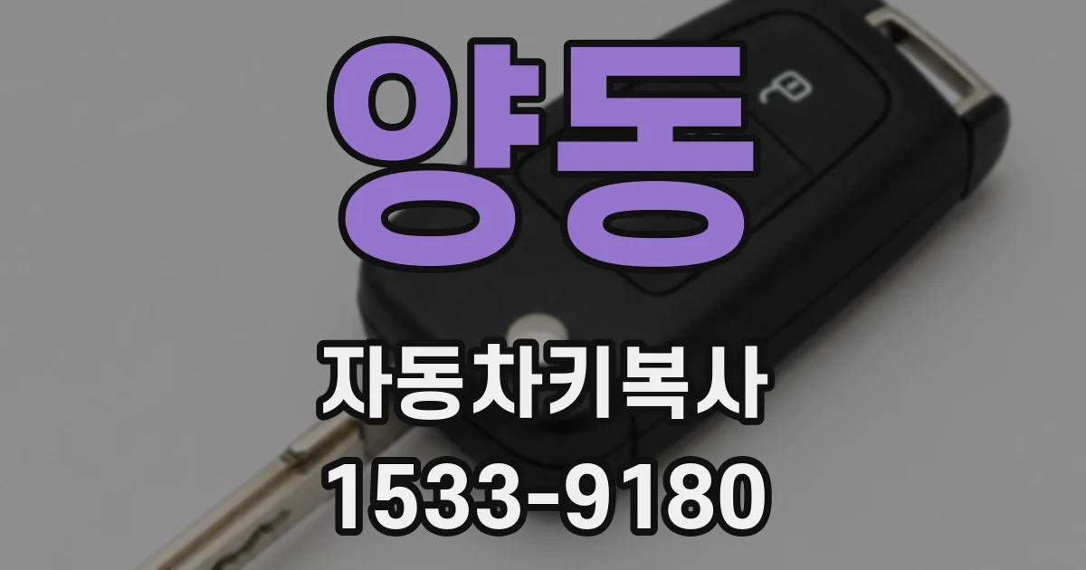 양동 자동차키복사