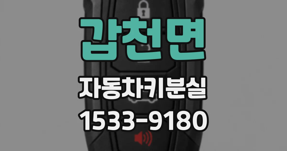 갑천면 자동차키분실