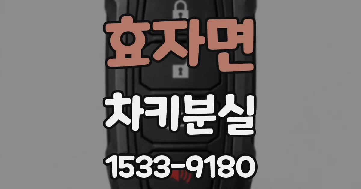 효자면 차키분실