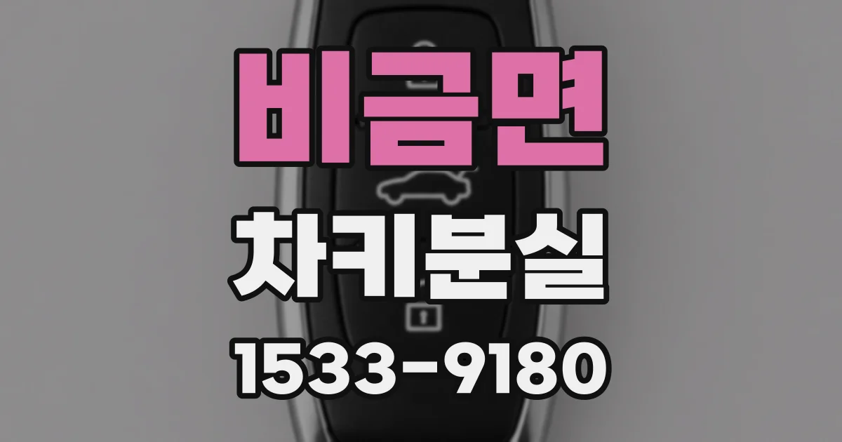 비금면 차키분실