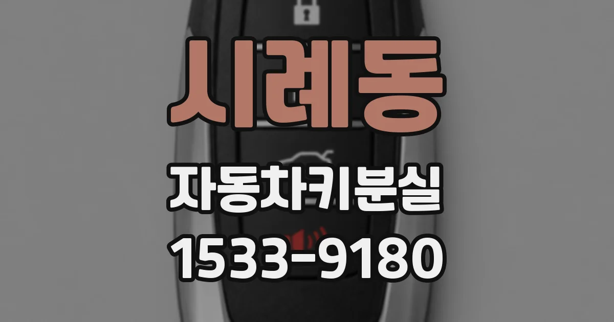 시례동 자동차키분실