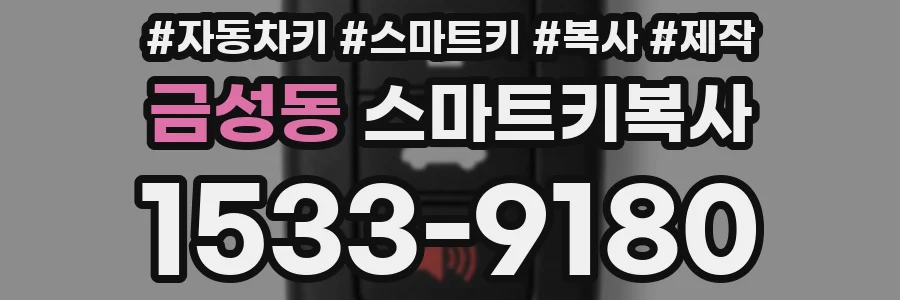 금성동 스마트키복사