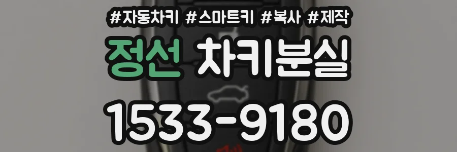 정선 차키분실