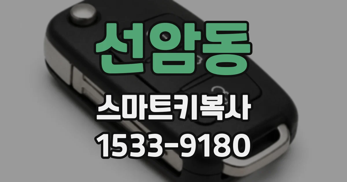 선암동 스마트키복사