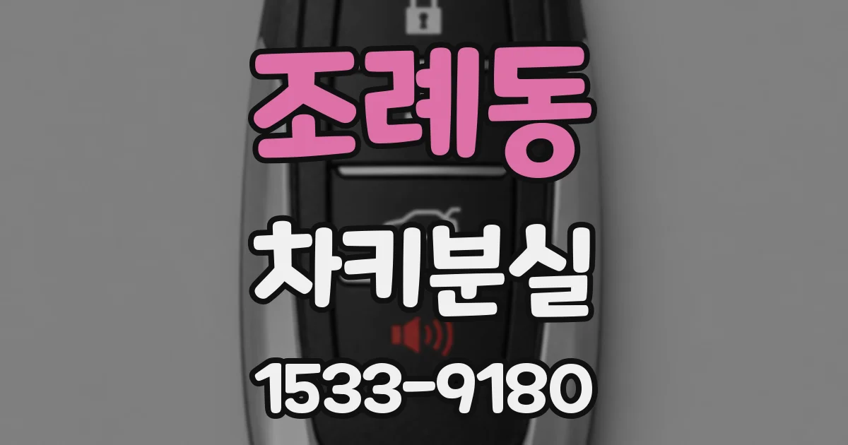 조례동 차키분실