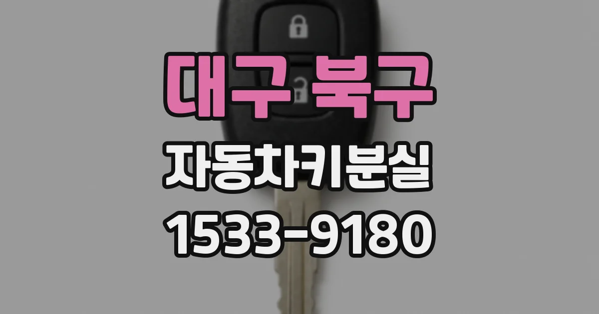 대구 북구 자동차키분실