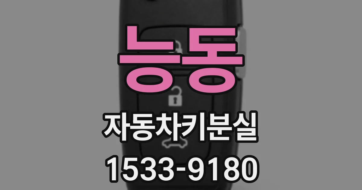 능동 자동차키분실