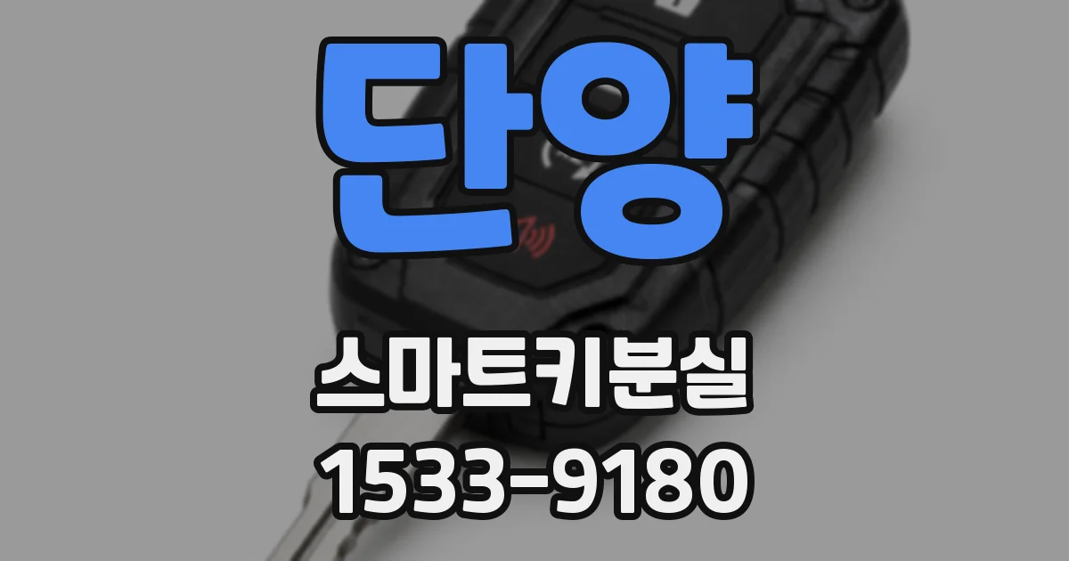단양 스마트키분실