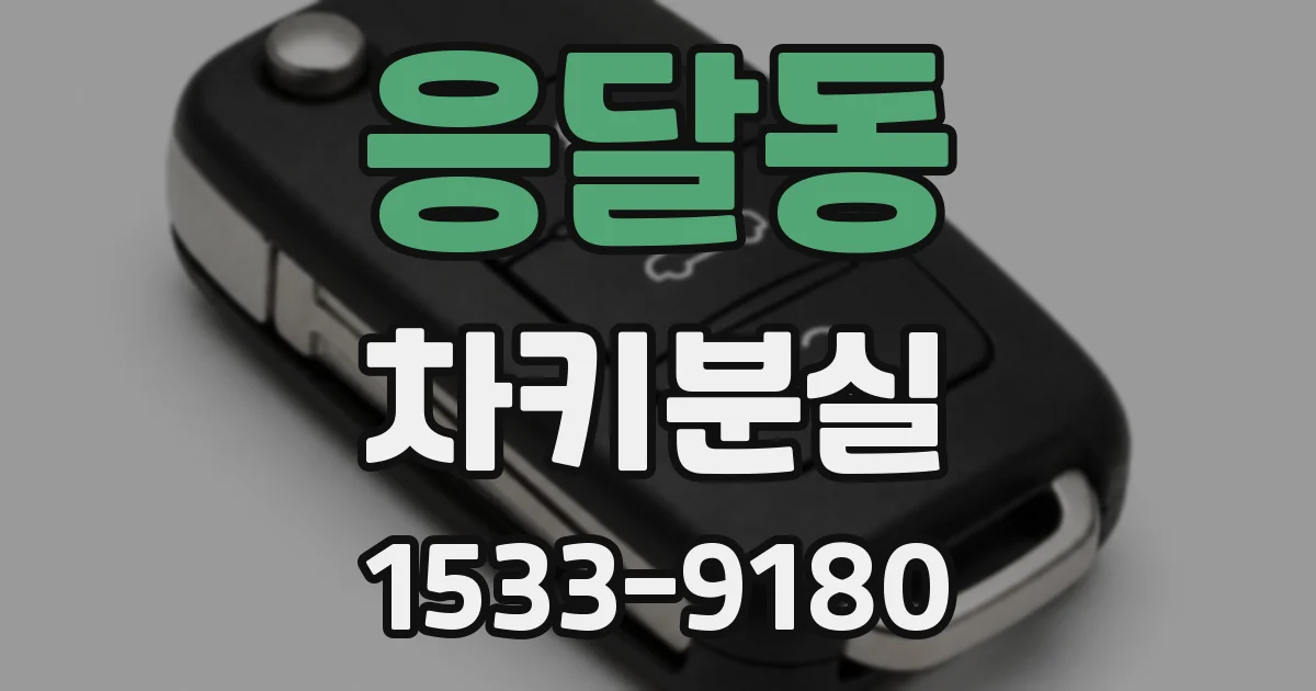 응달동 차키분실