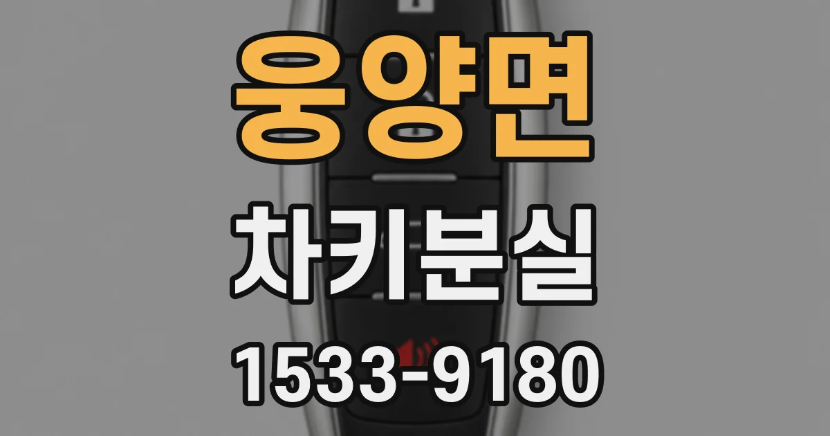 웅양면 차키분실