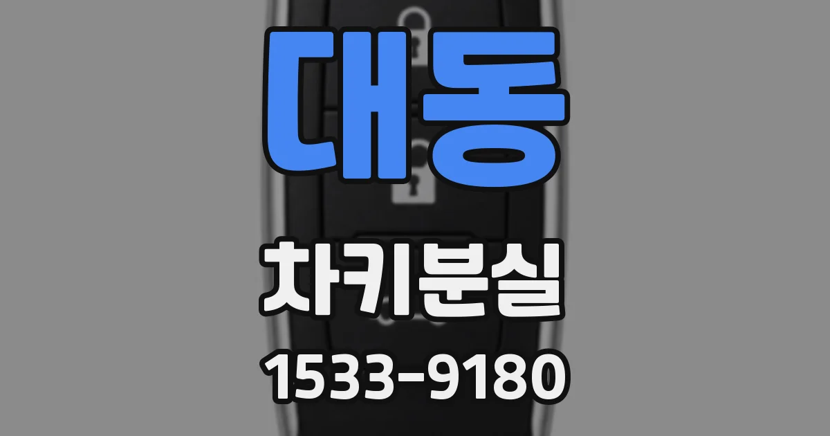 대동 차키분실