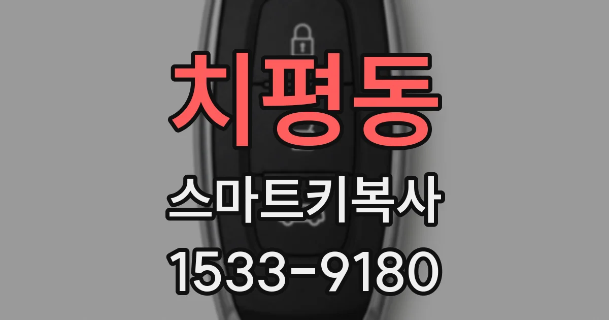 치평동 스마트키복사