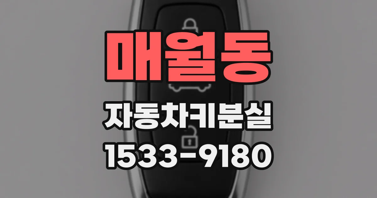 매월동 자동차키분실