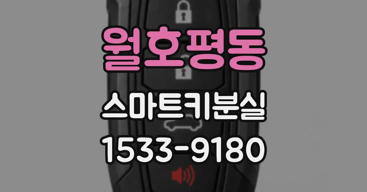 월호평동 스마트키분실