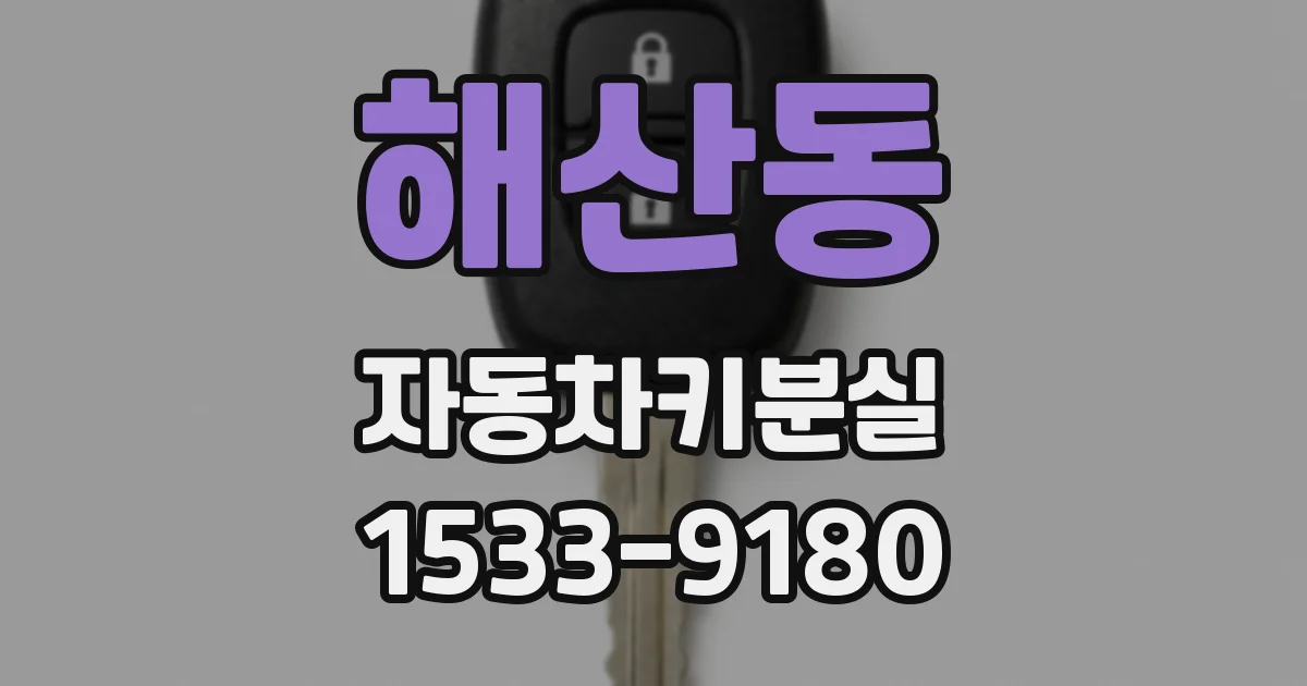 해산동 자동차키분실