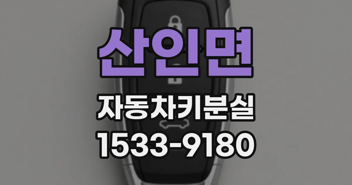 산인면 자동차키분실