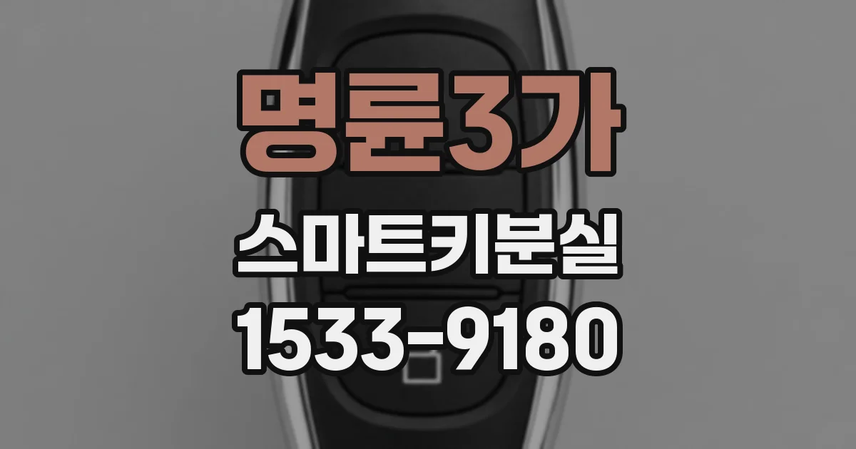 명륜3가 스마트키분실
