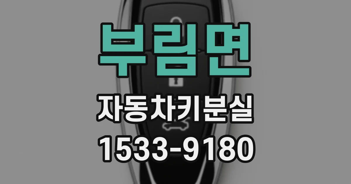 부림면 자동차키분실