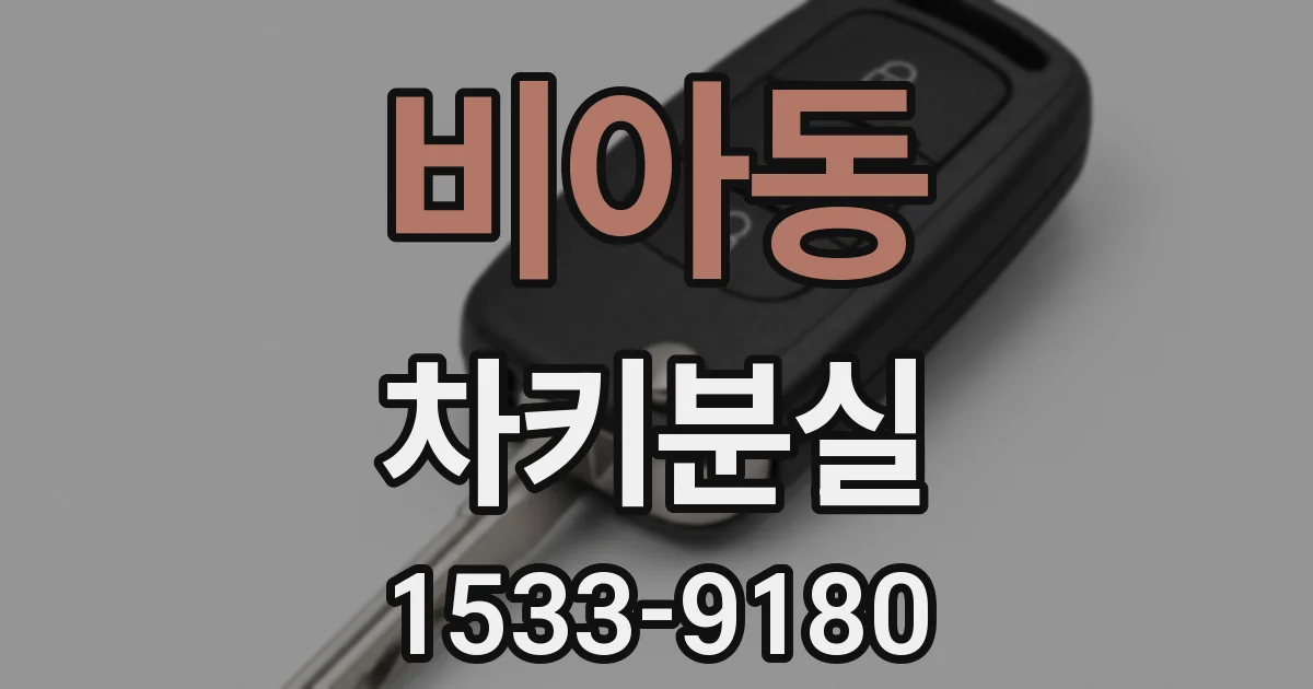 비아동 차키분실