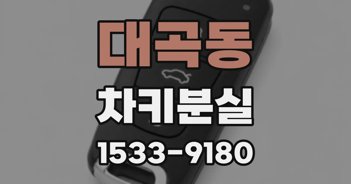 대곡동 차키분실
