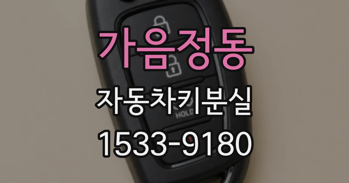 가음정동 자동차키분실