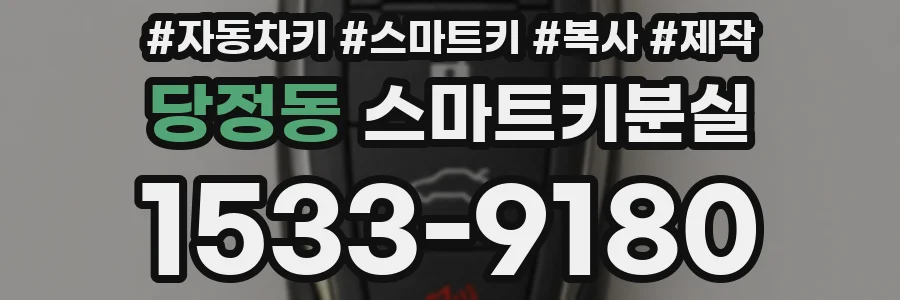 당정동 스마트키분실