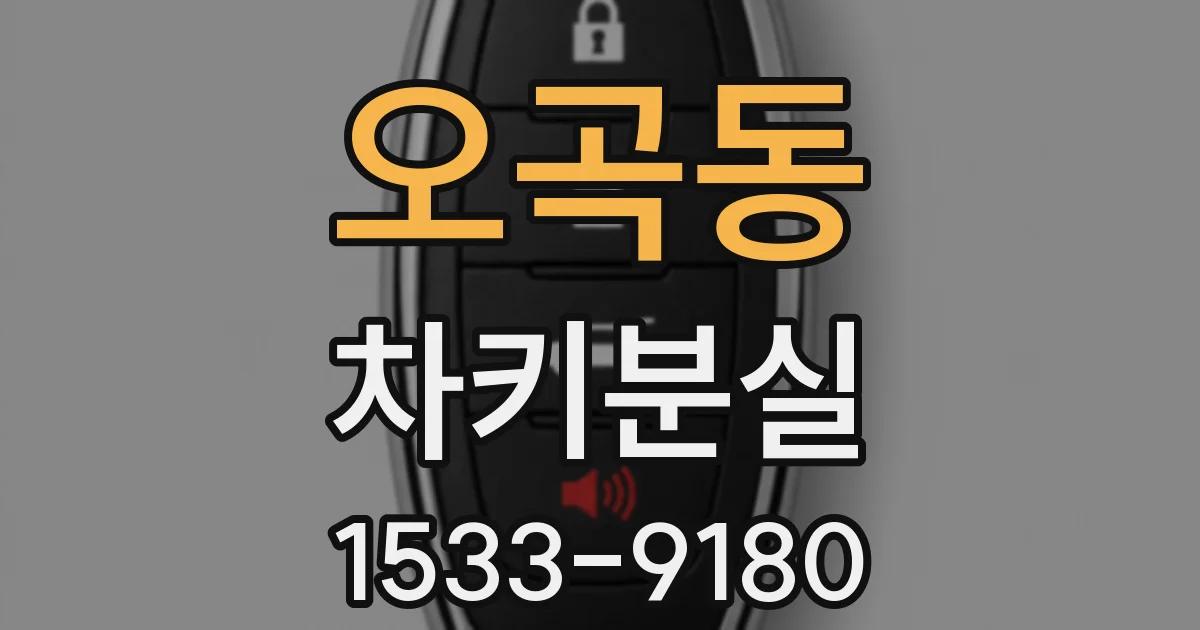 오곡동 차키분실