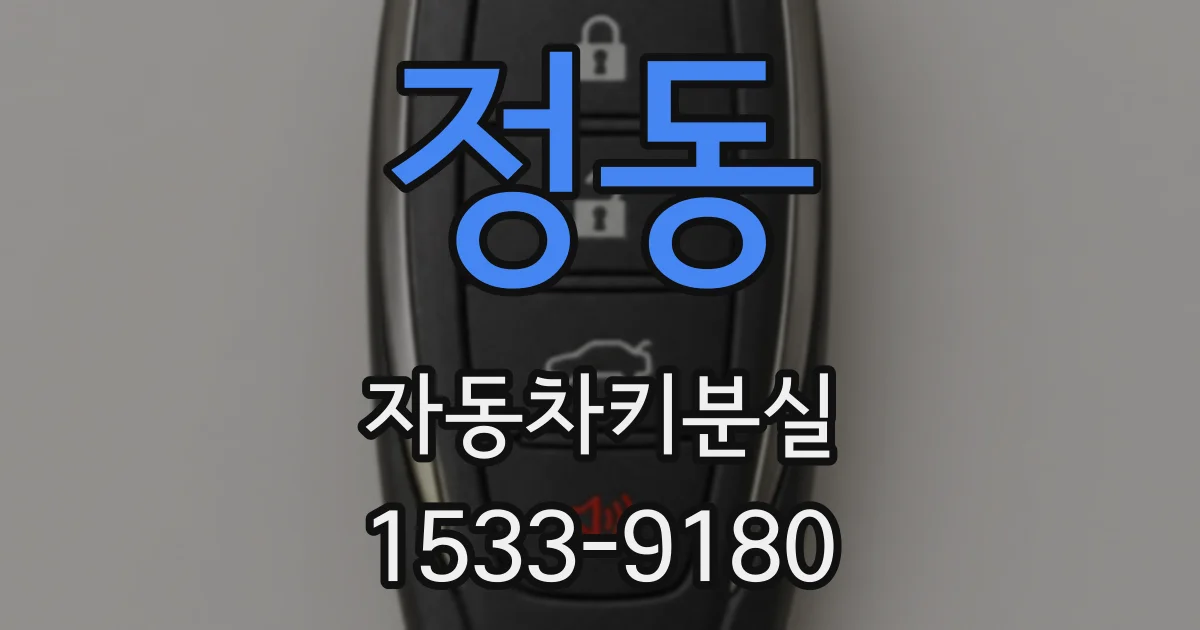 정동 자동차키분실