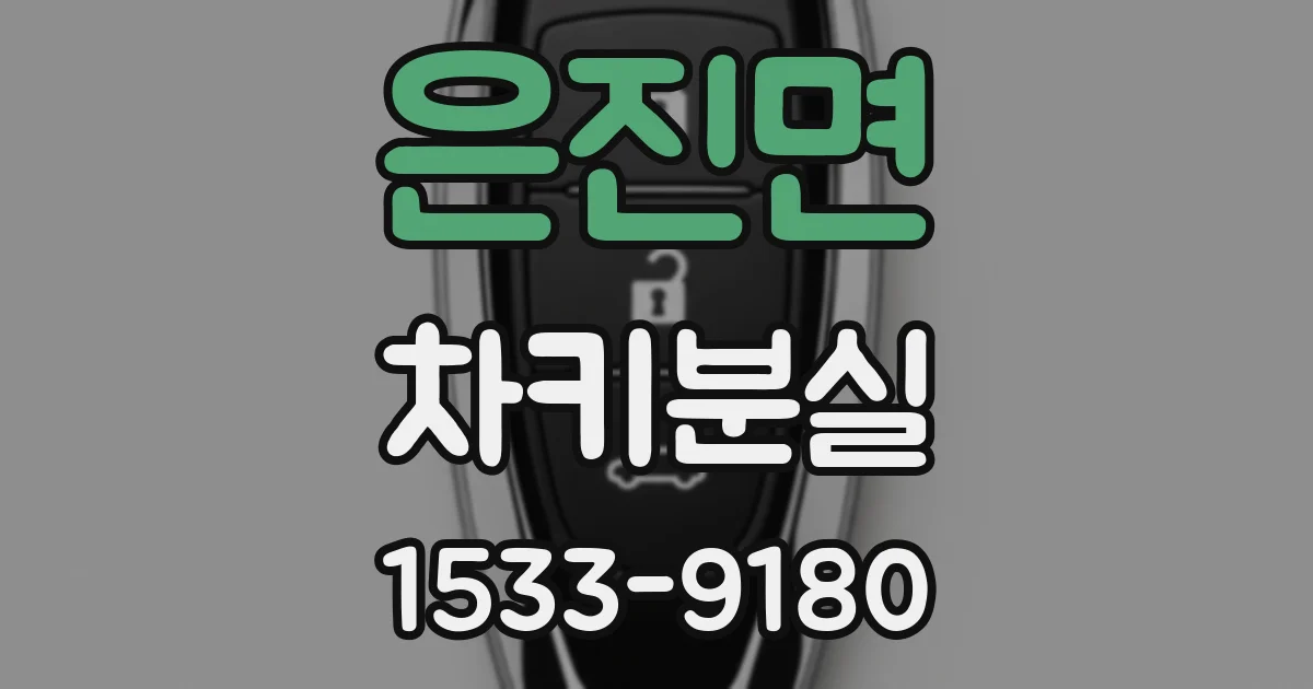 은진면 차키분실