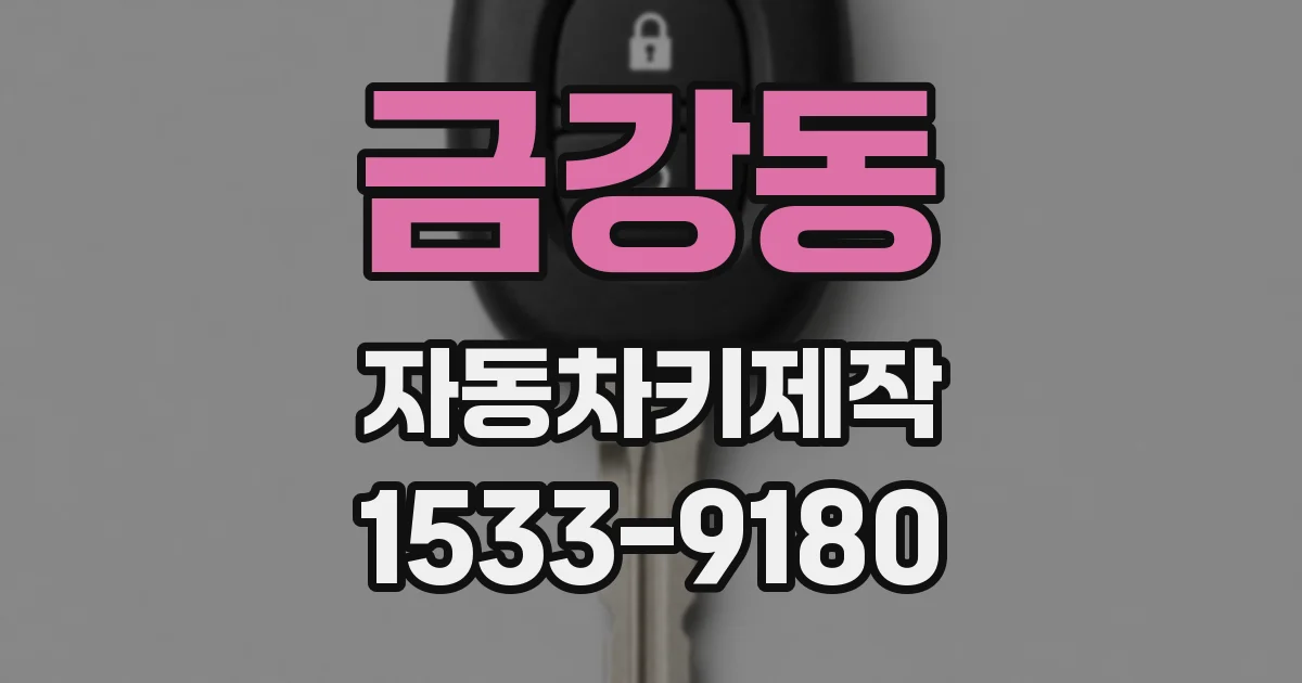 금강동 자동차키제작