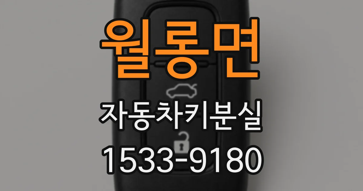 월롱면 자동차키분실