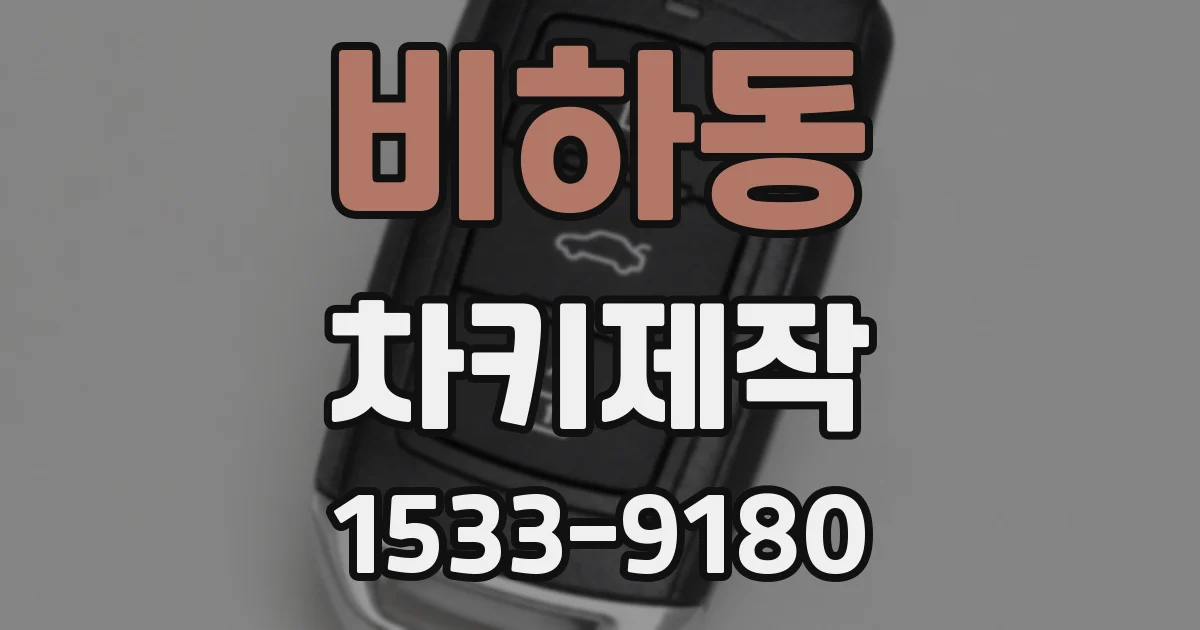 비하동 차키제작