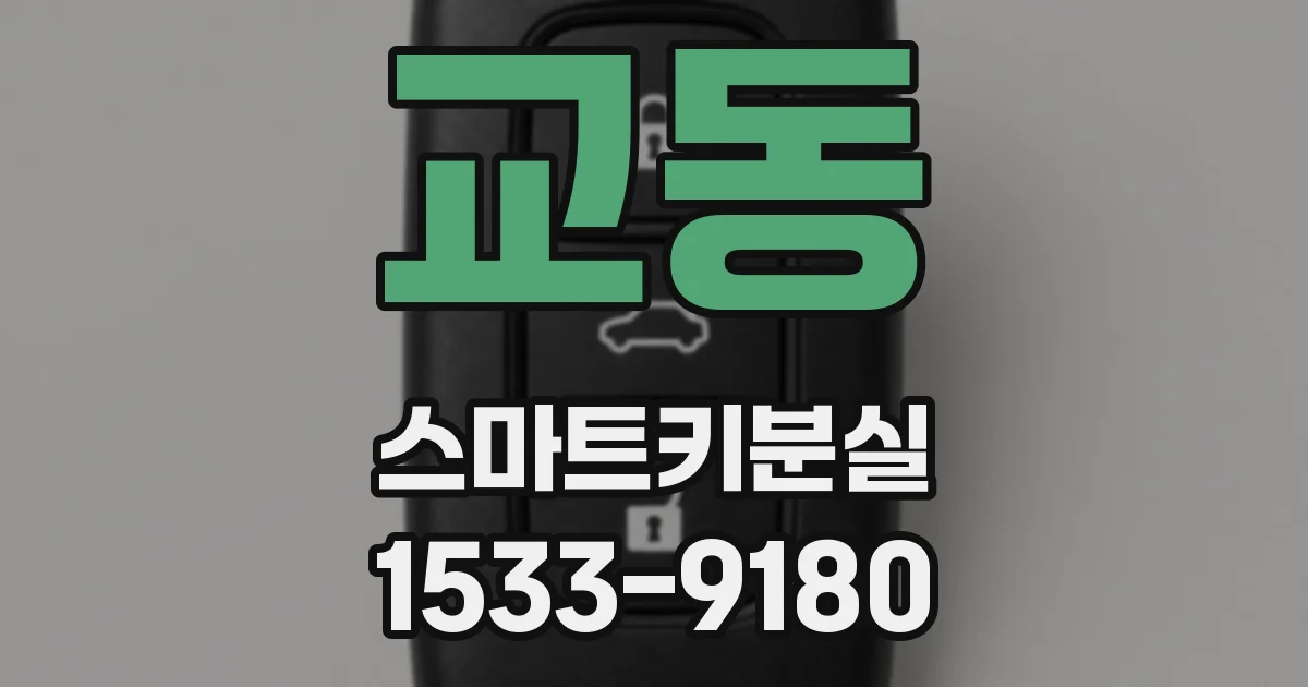 교동 스마트키분실