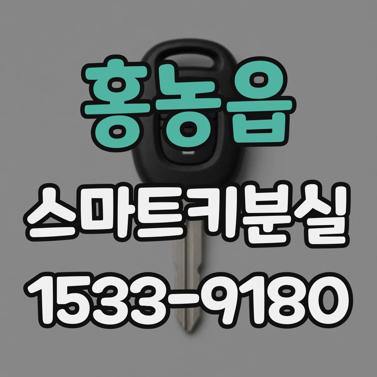홍농읍 스마트키분실