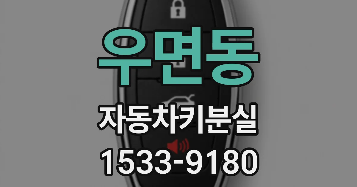 우면동 자동차키분실