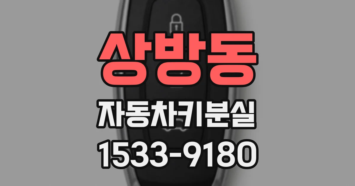 상방동 자동차키분실
