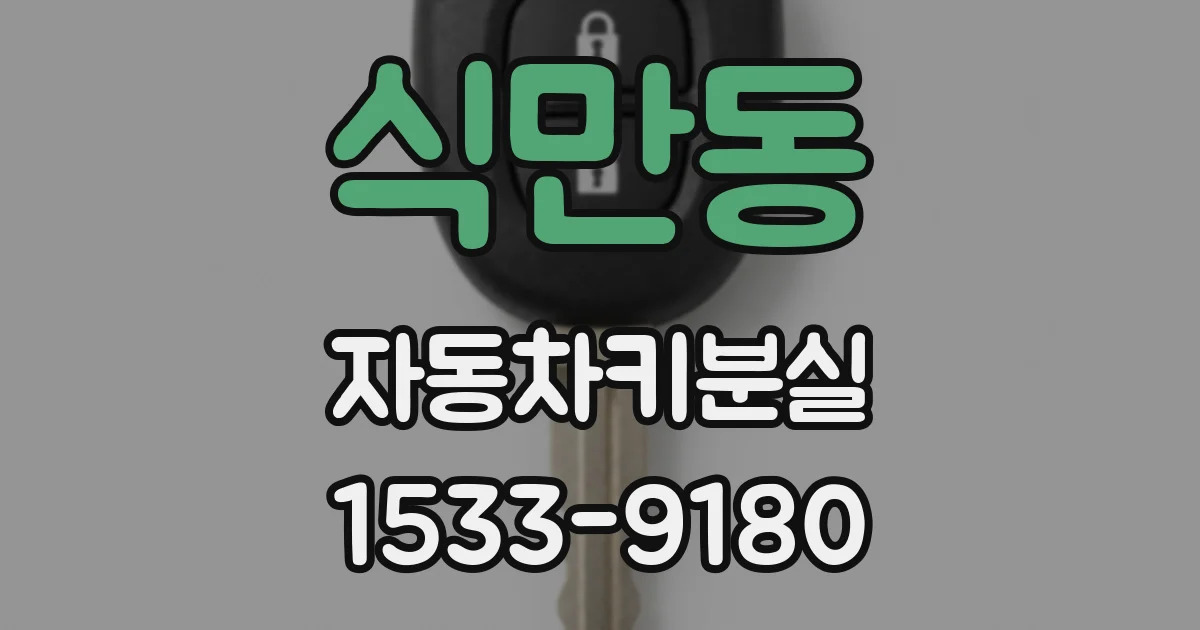 식만동 자동차키분실
