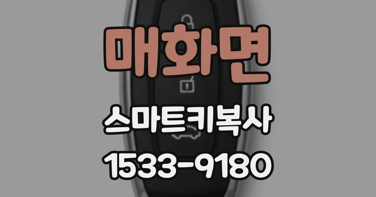 매화면 스마트키복사